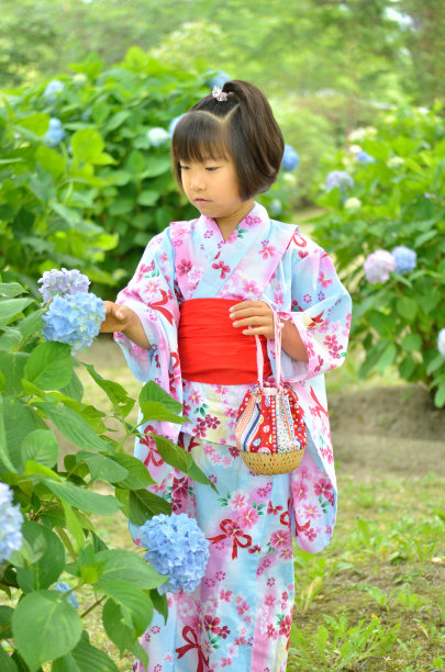 绣球花和女孩