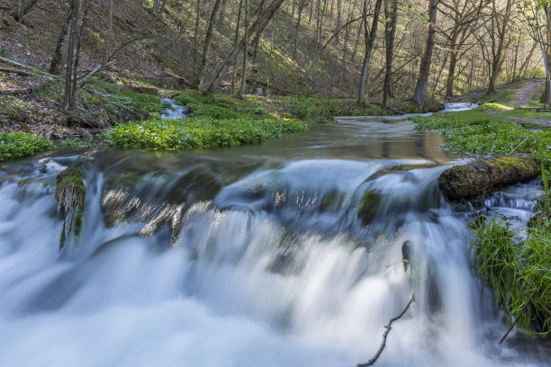 rapids