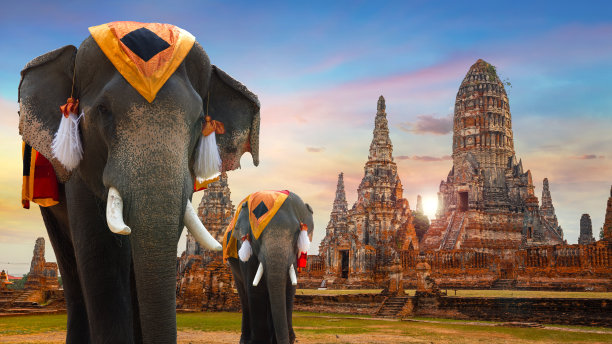 siam
