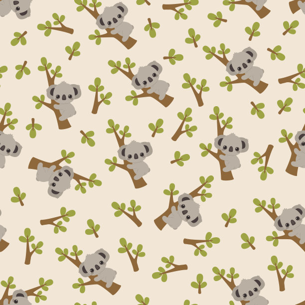 koala