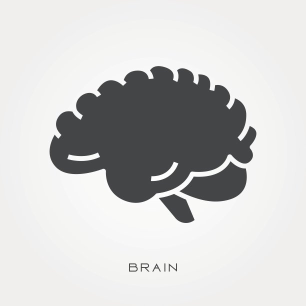 brain