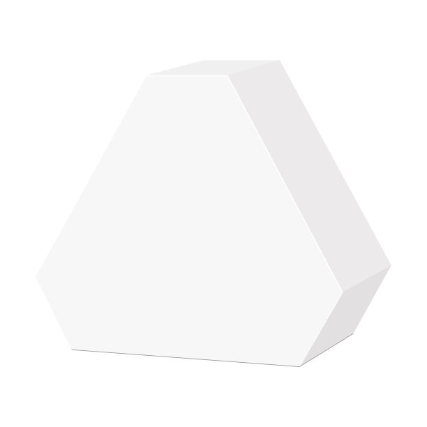 礼盒手提袋样机