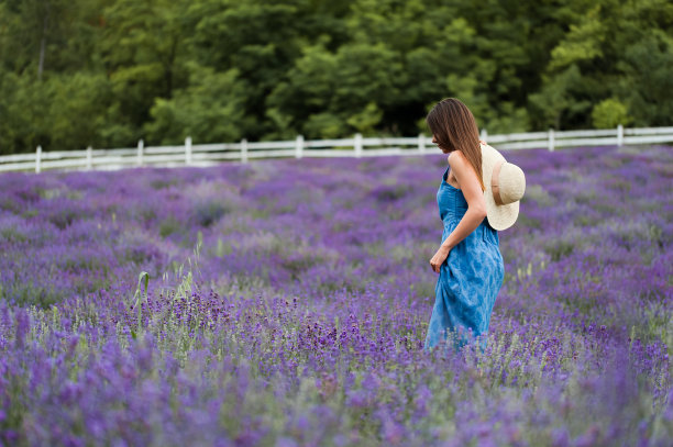 provence