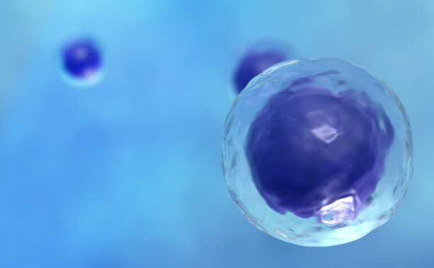 cells