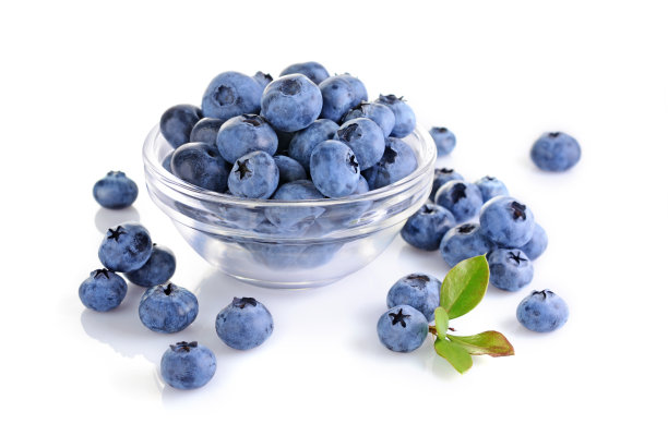 vaccinium