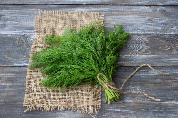 fennel