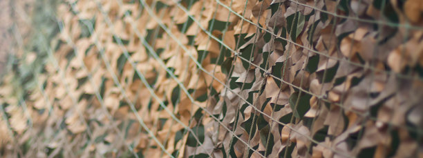 camo