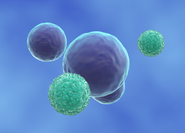 cd4