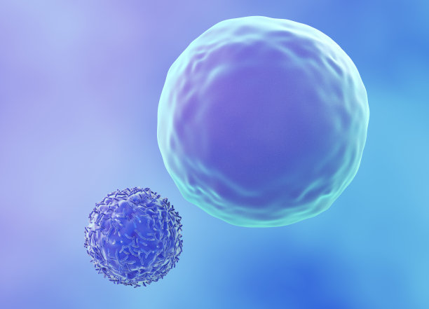 cell