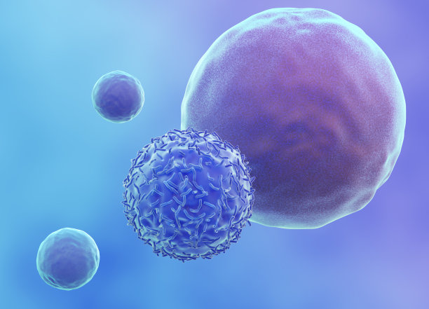 cd4