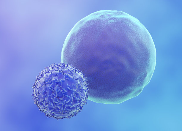 cd4