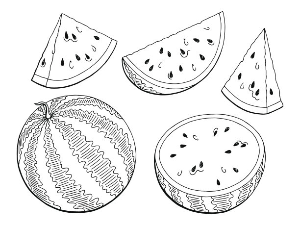 watermelon