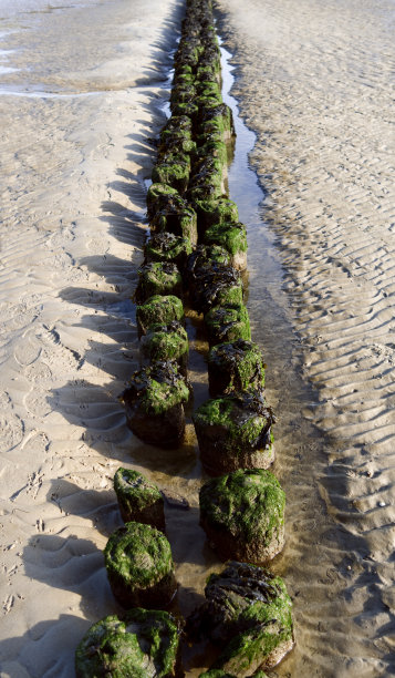 groyne