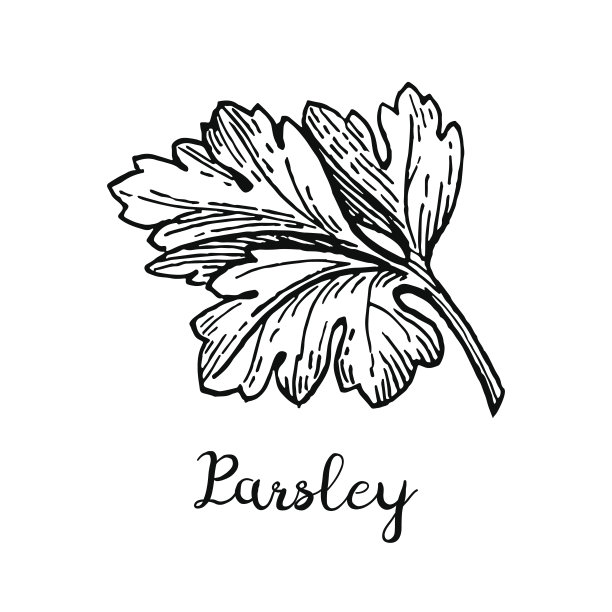 parsley