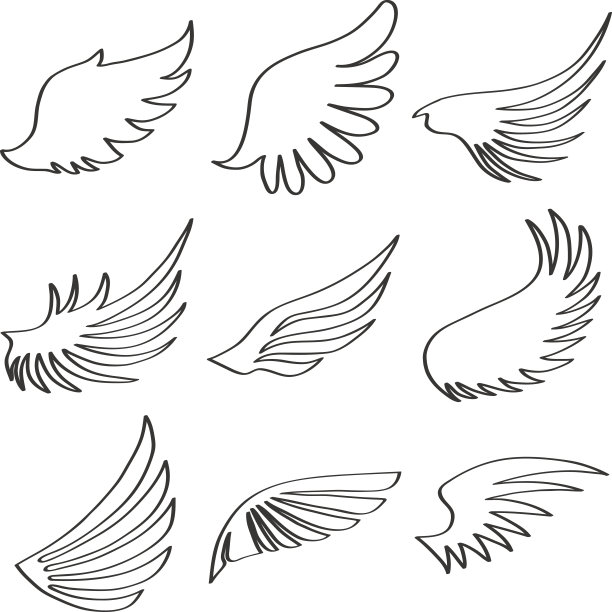 wings
