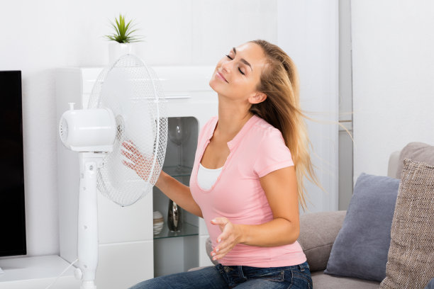 fan