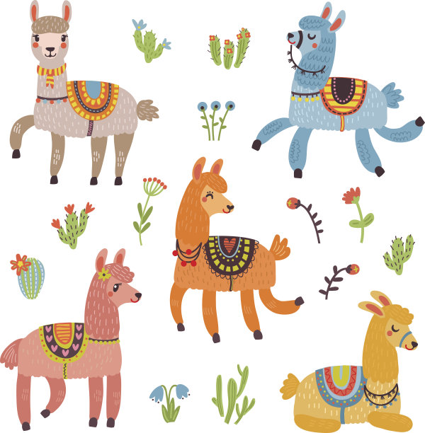 alpaca