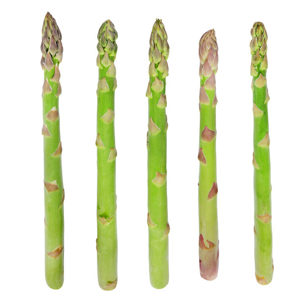 officinalis