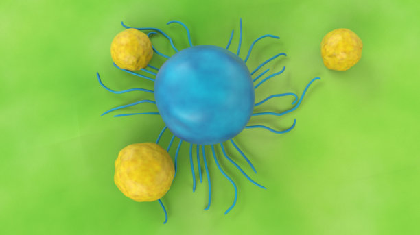 cd4