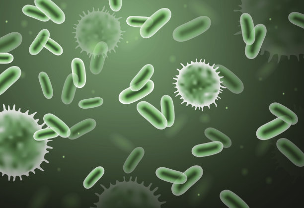 bacteria