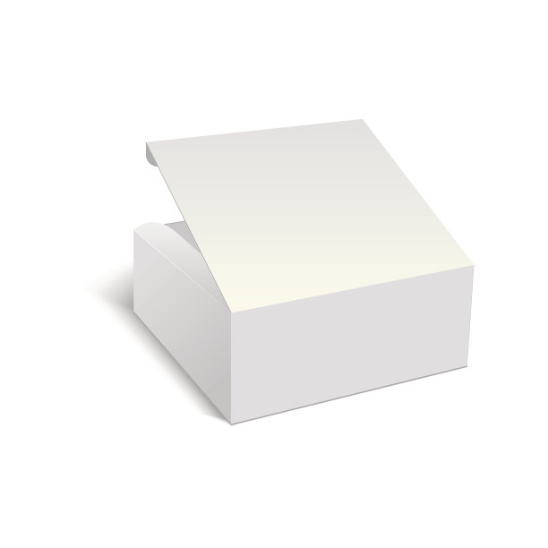 礼盒手提袋样机