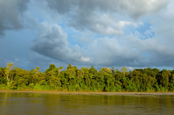 borneo