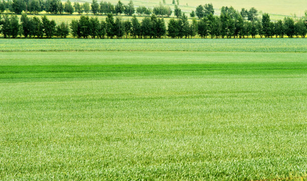 全国生态日背景