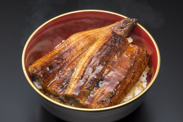 eel