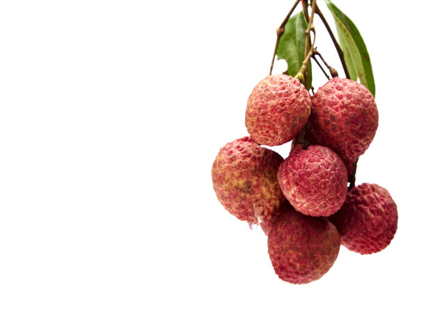 litchi
