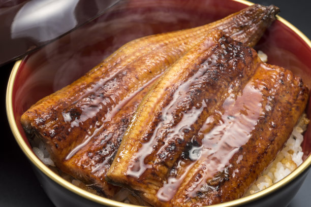 eel