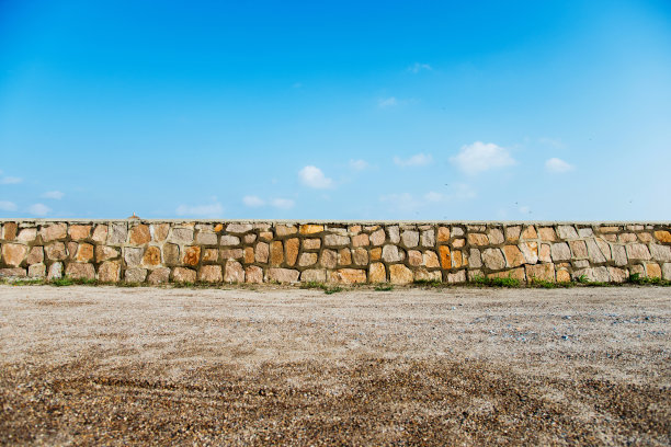 全国生态日背景