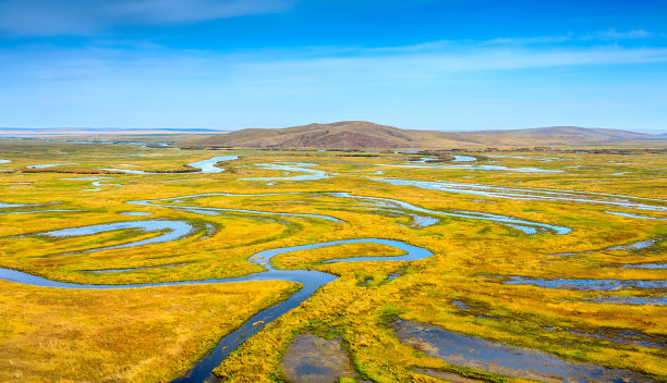 wetland