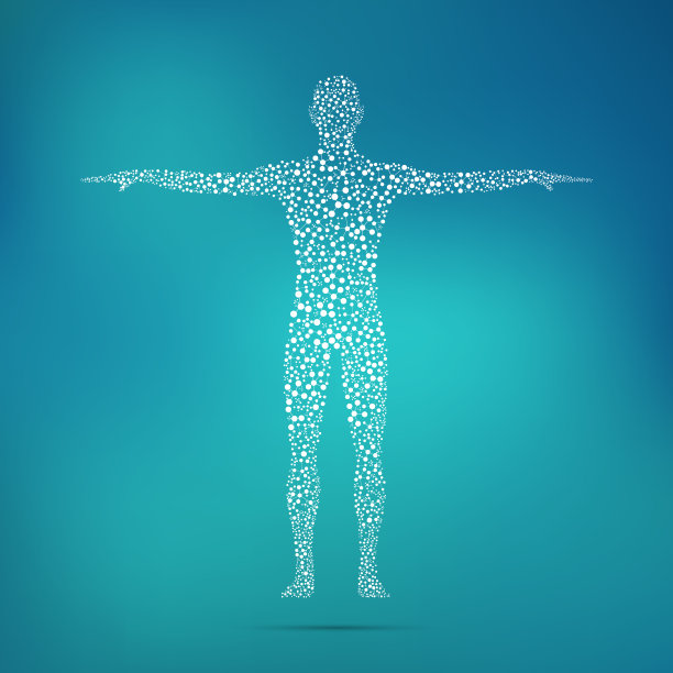 body