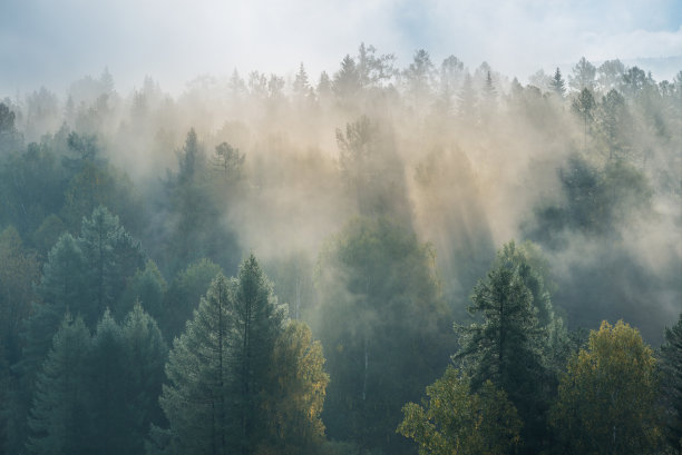 foggy