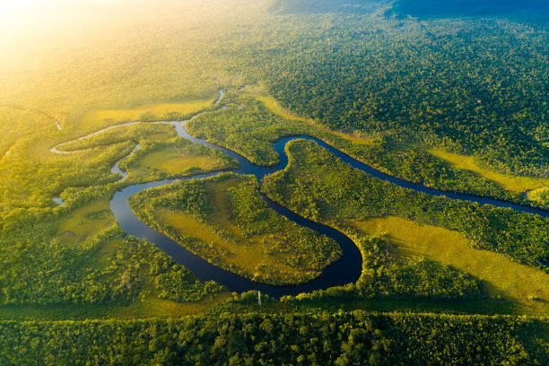 wetland
