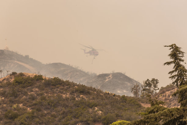 chopper