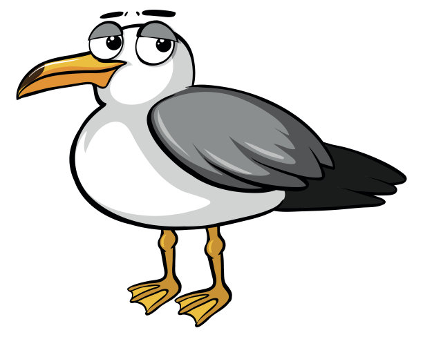 seagull