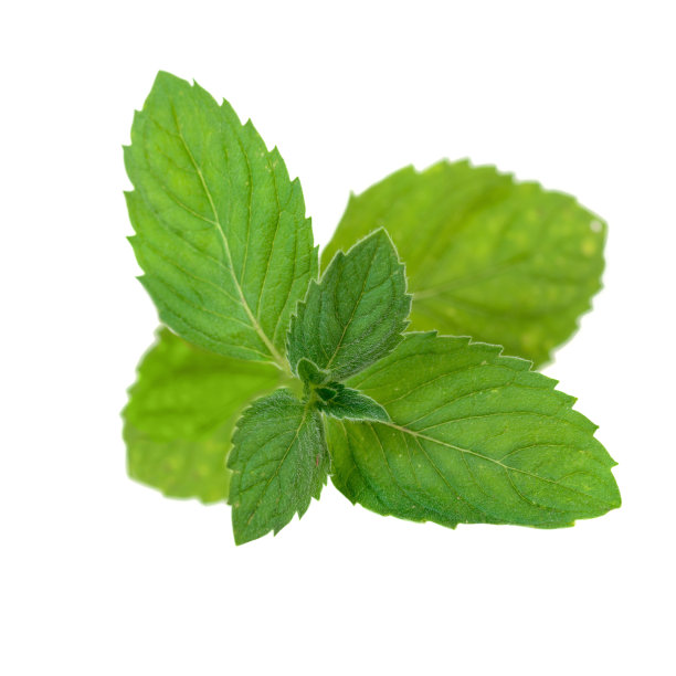 mint
