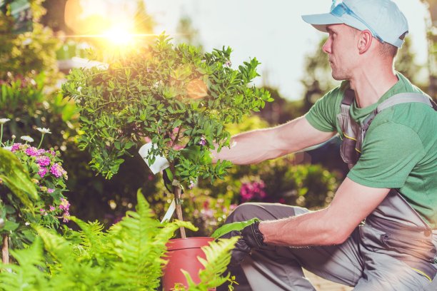 horticulture