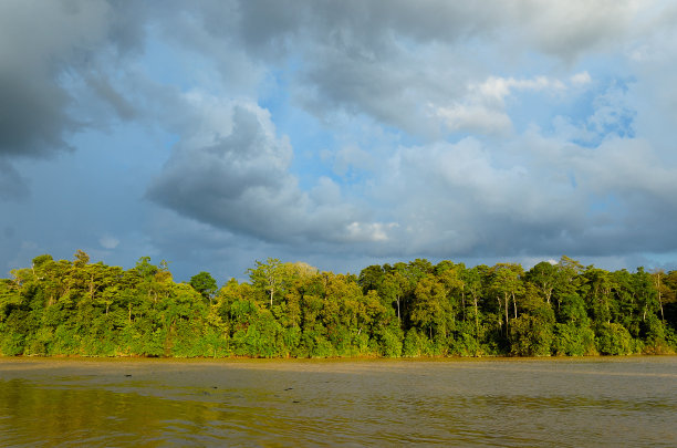 borneo