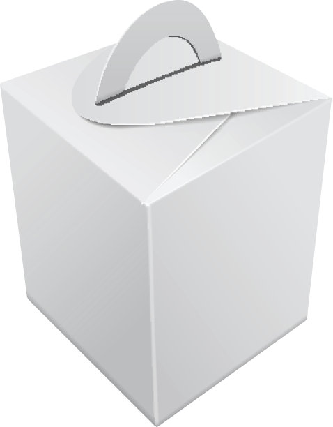 礼盒手提袋样机