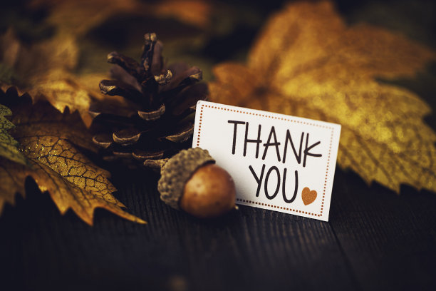 thanksgiving