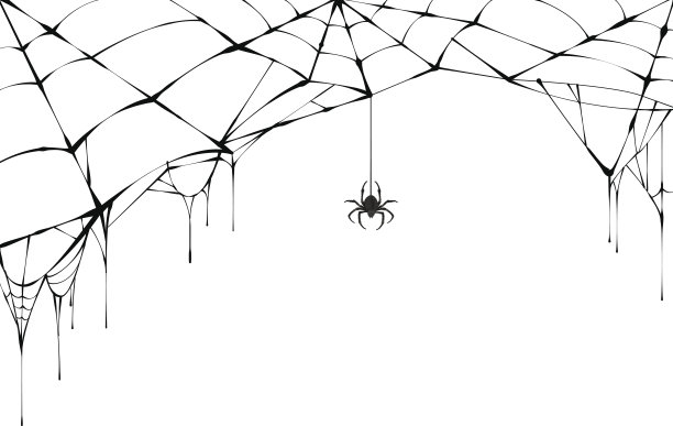 万圣节蜘蛛和蜘蛛网 