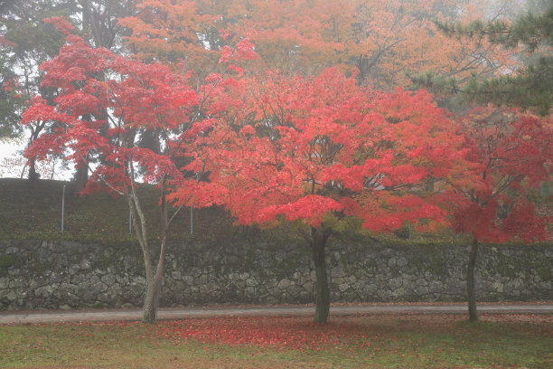 东大寺