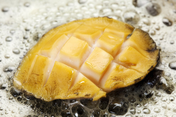 abalone