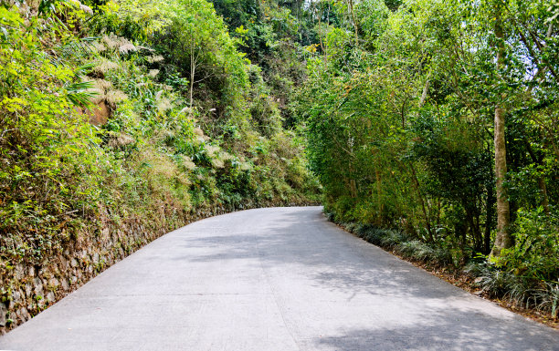 山林小路