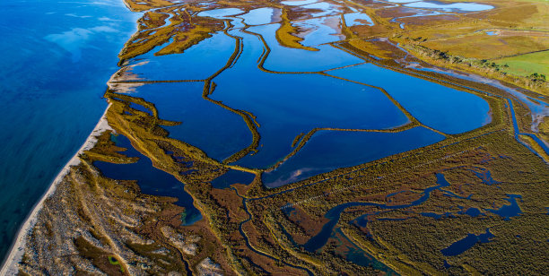 wetland
