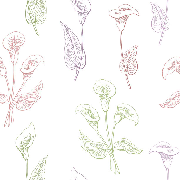 calla