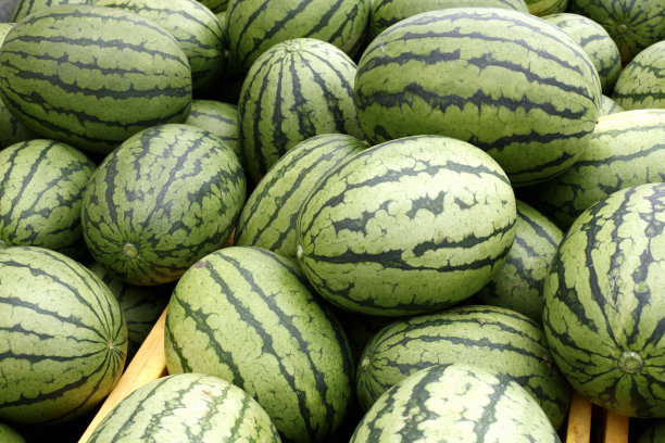 watermelon