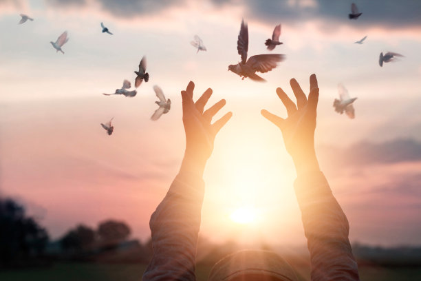 freedom